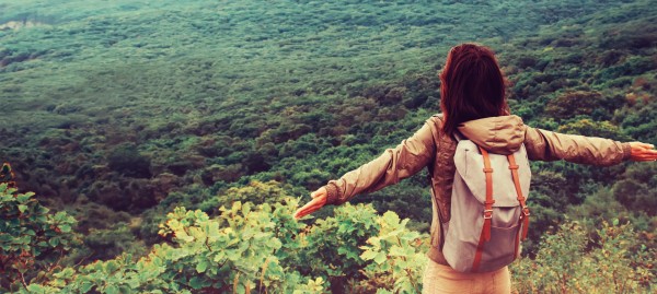 Wwoof, Helpx, Workaway... Que choisir ?