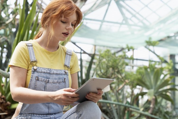 Offres de volontariat en Allemagne culture et environnement